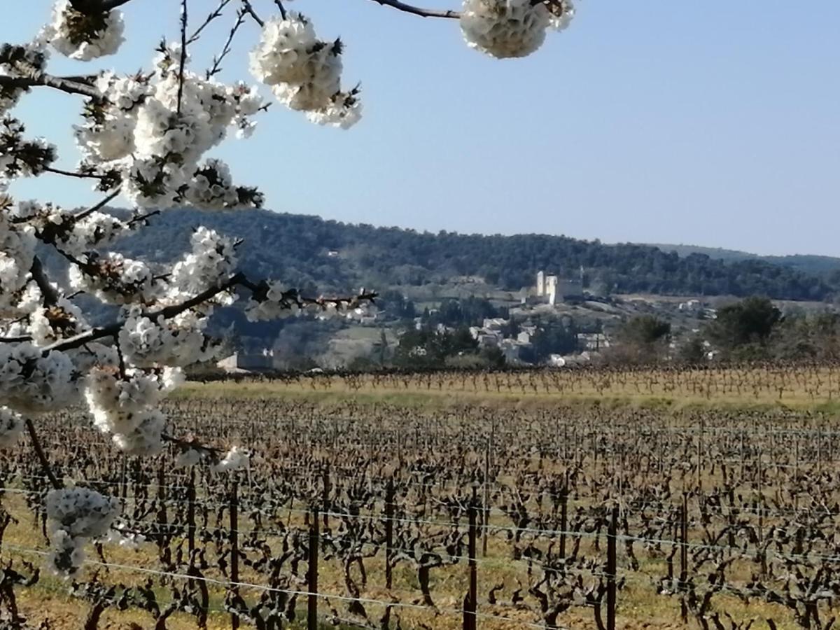 Au Villadior - Vaison La Romaine Εξωτερικό φωτογραφία