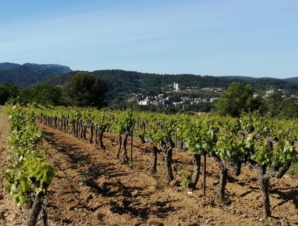Au Villadior - Vaison La Romaine Εξωτερικό φωτογραφία